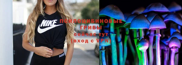 эйфоретик Алзамай